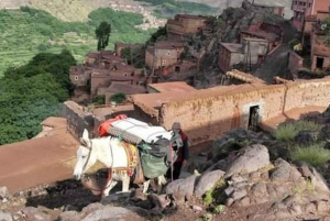 A Day With The Berbers - 3 Valleys Day Trip from Marrakech