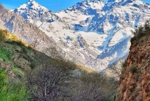 A Day With The Berbers - 3 Valleys Day Trip from Marrakech