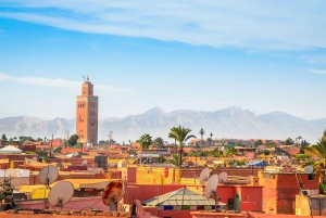 Agadir or Taghazout: Marrakech Discovery Full-Day Trip