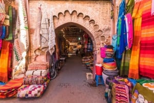 Agadir/Taghazout: Wycieczka do Marrakeszu z licencjonowanym przewodnikiem