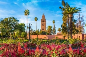 Agadir/Taghazout: Viaje a Marrakech con guía titulado