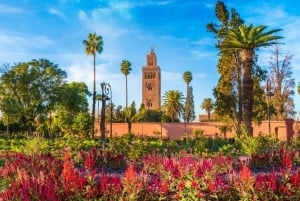 Agadir/Taghazout: Viagem a Marrakech com guia turístico licenciado