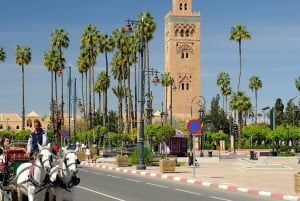 Agadir Guided Tour To Marrakech With Amazing Tour Guide