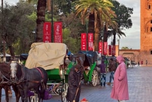 Agadir Guided Tour To Marrakech With Amazing Tour Guide