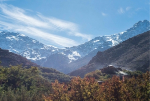 Marrakech: Atlas Mountains and Agafay Desert Trip with Lunch