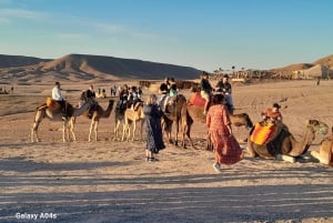 Kameltur og firhjuling i Agafay-ørkenen og middag med forestilling