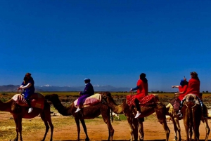Agafay Desert Camel Ride & Dinner with show
