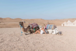 Agafay Desert Camel Ride & Quad Bike Ride