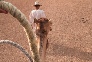 Agafay Desert Camel Ride Sunset Tour with Dinner Show