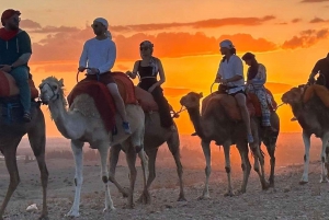 Marrakech: Agafay Desert Dinner Show with Quad & Camel Ride