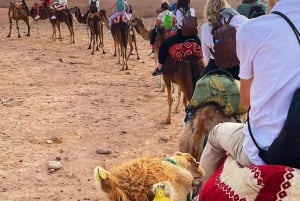 Marrakech: Agafay Desert Dinner Show with Quad & Camel Ride