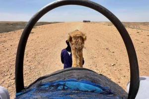 Marrakech: Agafay Desert Dinner Show with Quad & Camel Ride