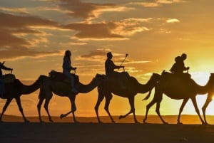 Marrakech: Agafay Desert Dinner Show with Quad & Camel Ride