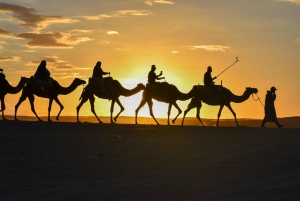 Marrakech: Agafay Desert Dinner Show with Quad & Camel Ride