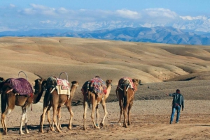 Agafay Desert Package : Buggy & Camel Ride & Dinner Show
