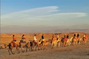 Pakiet na pustynię Agafay: przejażdżka buggy i wielbłądem oraz pokaz kolacji