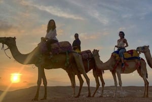 Agafay Desert Package, Quad Bike, Camel Ride and Dinner Show