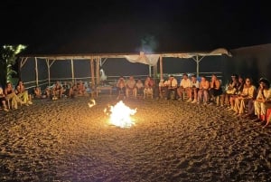 Marrakech: Agafay desert Quad Bike, Camel Ride & Dinner Show