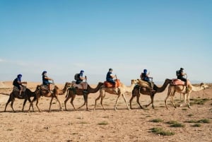 Cena Premium Bajo las Estrellas con Espectáculo en el Desierto de Agafay