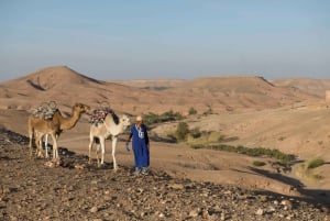 Agafay Desert: Quad Bike and Camel Ride Adventure Tour
