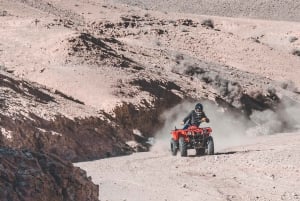 Désert d'Agafay : Aventure en quad et balade à dos de chameau