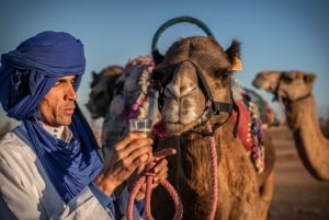 Désert d'Agafay : Aventure en quad et balade à dos de chameau