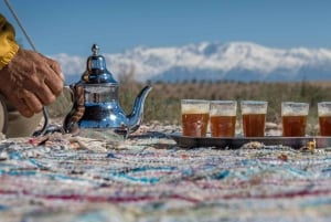 Désert d'Agafay : Aventure en quad et balade à dos de chameau