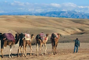 Agafay Desert: Quad bike & Camel Ride and Dinner show