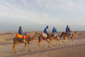 'Agafay Desert: Quad Biking, Camel Ride, Lunch & Pool'