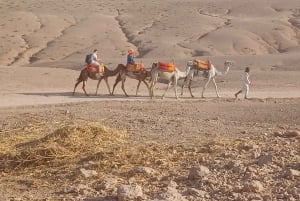 'Agafay Desert: Quad Biking, Camel Ride, Lunch & Pool'