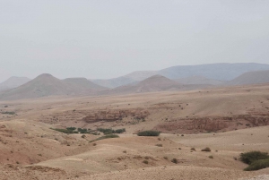 'Agafay Desert: Quad Biking, Camel Ride, Lunch & Pool'