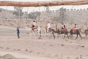 'Agafay Desert: Quad Biking, Camel Ride, Lunch & Pool'