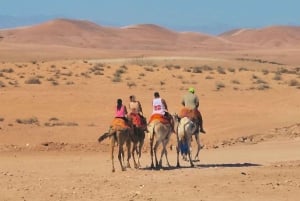Deserto de Agafay: passeio de quadriciclo, passeio de camelo, almoço e piscina