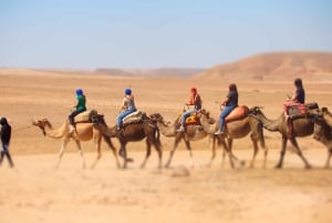 Deserto de Agafay: passeio de quadriciclo, passeio de camelo, almoço e piscina