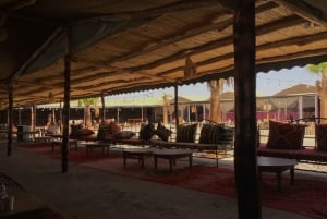 Deserto de Agafay: passeio de quadriciclo, passeio de camelo, almoço e piscina