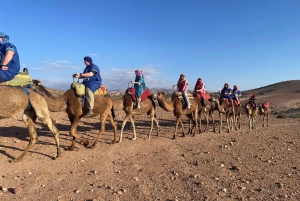 From Marrakech : Agafay Desert Quad & Camel Tour Combo