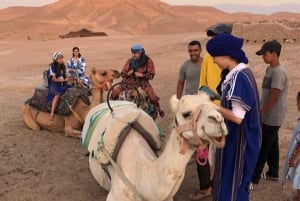 Marrakech: Quad- og kamelturer i Agafay-ørkenen med middagsshow