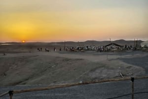 Agafay desert show with dinner and camel ride from marrakech