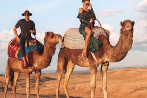 Agafay desert show with dinner and camel ride from marrakech