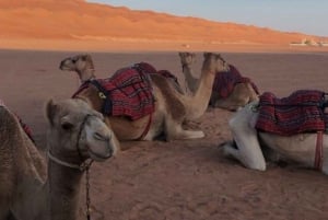 Agafay desert show with dinner and camel ride from marrakech