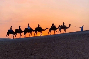 Solnedgangstur på kamel i Agafay-ørkenen med middag i lejren