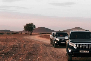 Paseo en camello por el desierto de Agafay al atardecer con cena en el campamento