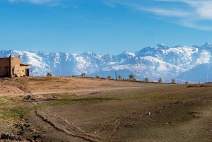 Agafayn aavikkokierros kameliratsastuksella, illallinen ja show