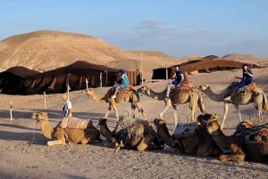 Agafay Desert Sunset Tour with Camel Ride ,Dinner and Show
