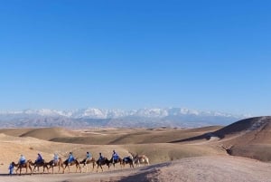 Agafay Desert Sunset Tour with Camel Ride ,Dinner and Show