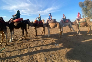 Marrakech: quadrijden en kameelrijden, dinershow in de Agafay-woestijn