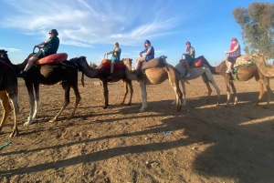 Marrakech: quadrijden en kameelrijden, dinershow in de Agafay-woestijn
