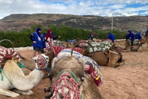 Marrakech: quadrijden en kameelrijden, dinershow in de Agafay-woestijn