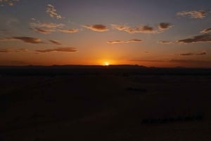 Marrakech: quadrijden en kameelrijden, dinershow in de Agafay-woestijn