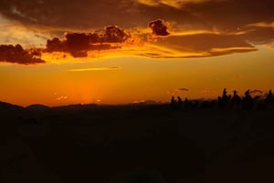 Marrakech: quadrijden en kameelrijden, dinershow in de Agafay-woestijn